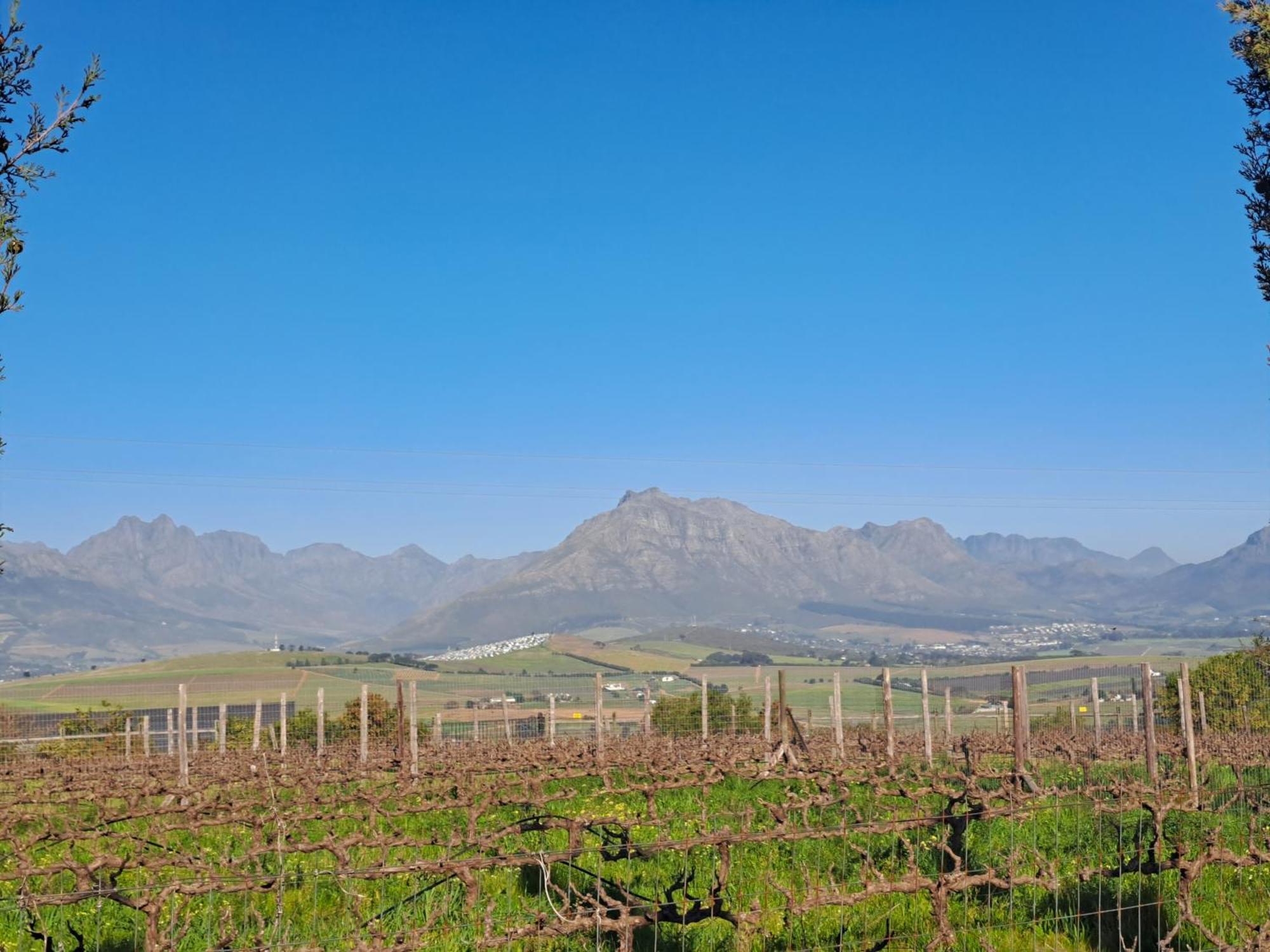 Domaine Coutelier Apartman Stellenbosch Szoba fotó