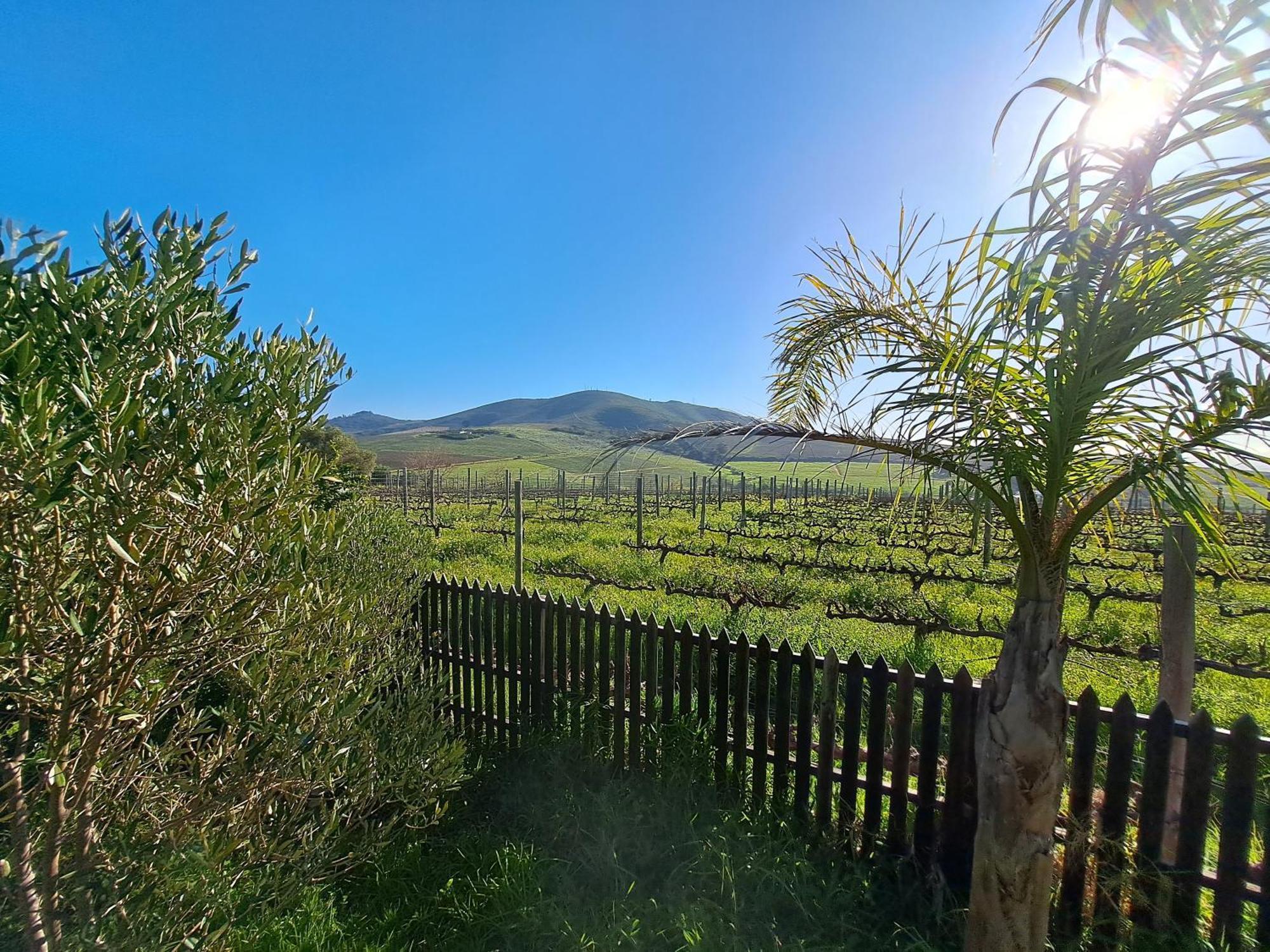 Domaine Coutelier Apartman Stellenbosch Szoba fotó