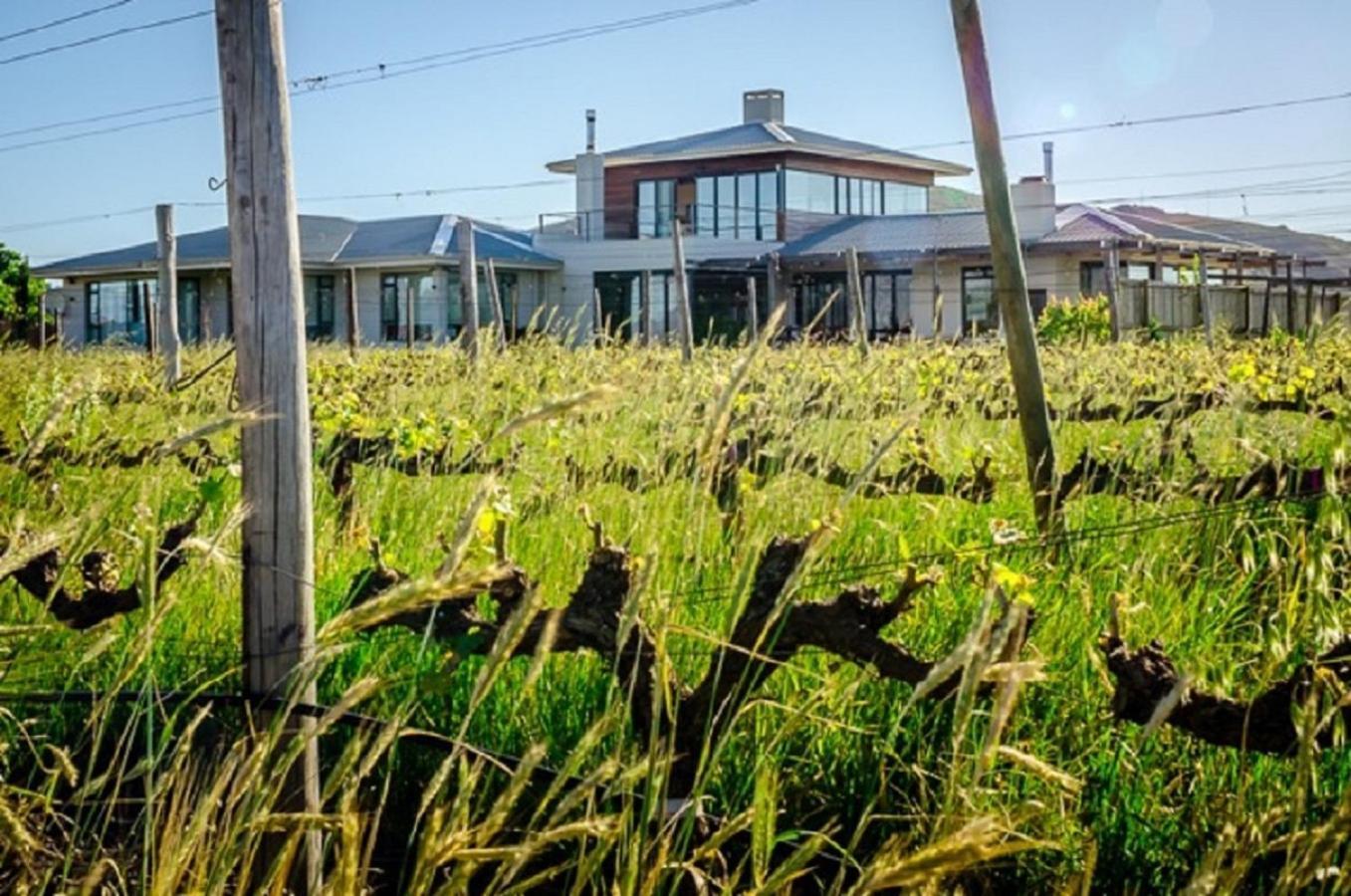 Domaine Coutelier Apartman Stellenbosch Kültér fotó