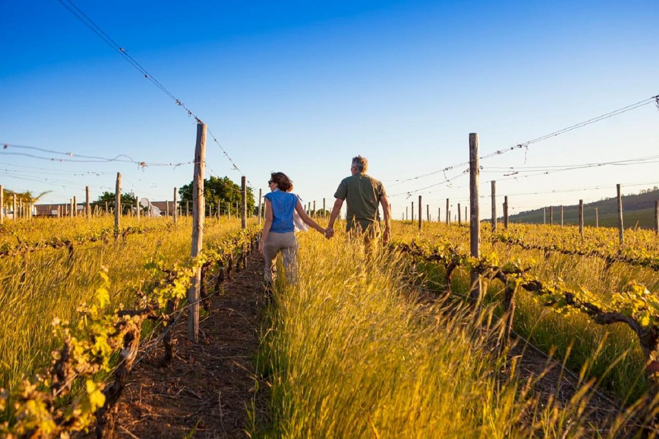 Domaine Coutelier Apartman Stellenbosch Kültér fotó