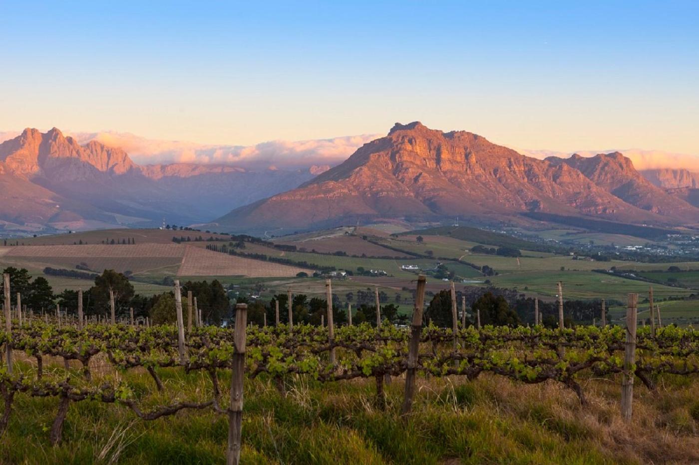 Domaine Coutelier Apartman Stellenbosch Kültér fotó
