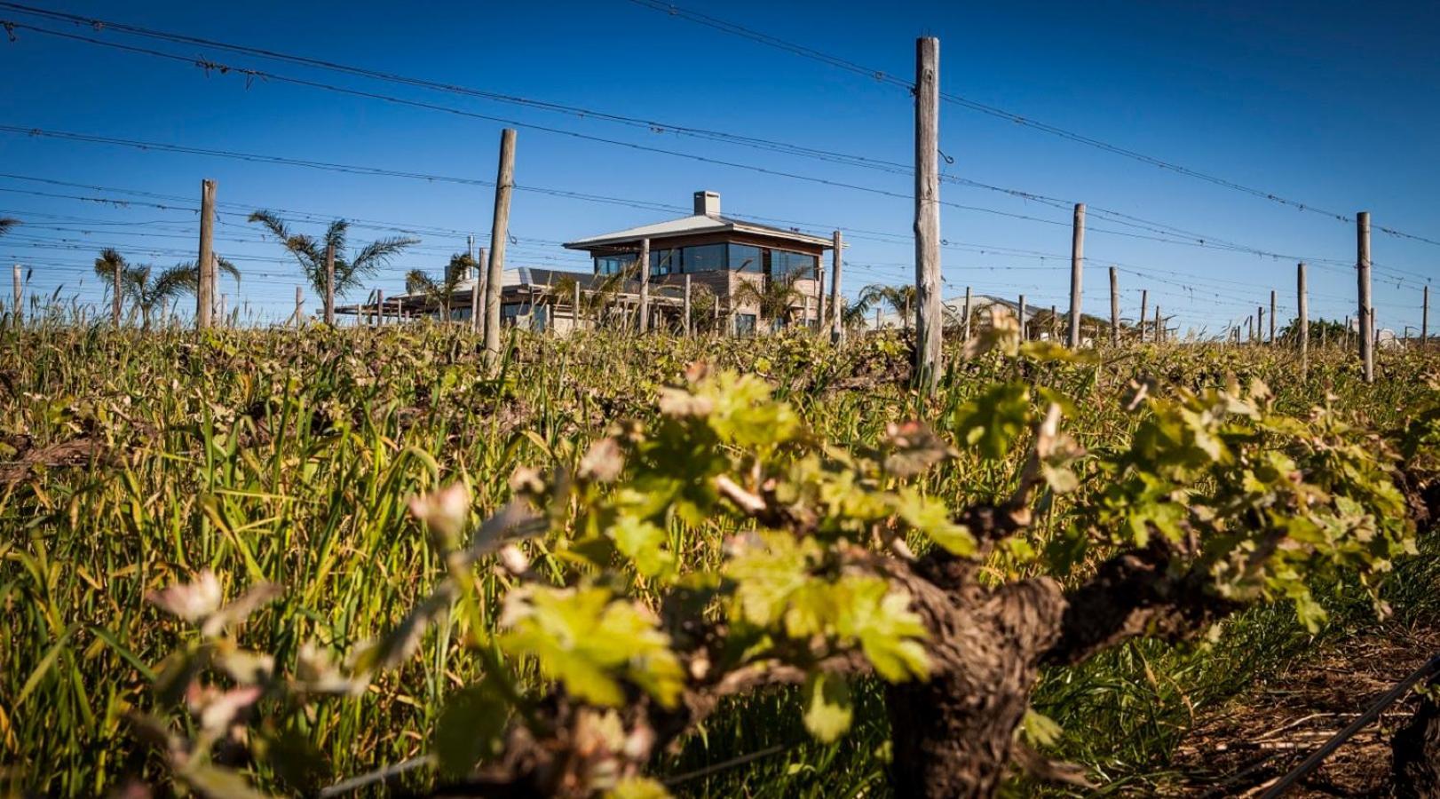 Domaine Coutelier Apartman Stellenbosch Kültér fotó