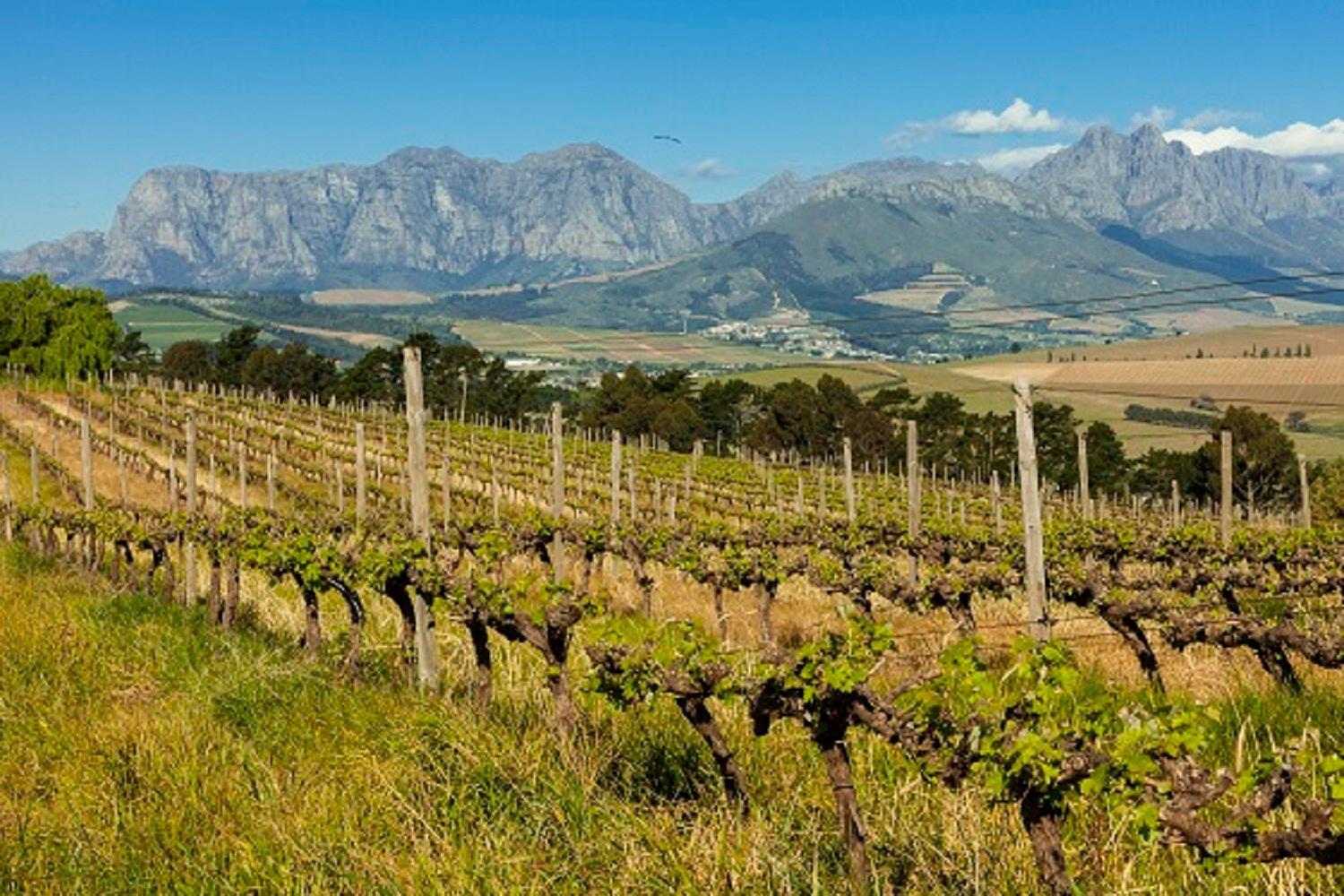 Domaine Coutelier Apartman Stellenbosch Kültér fotó