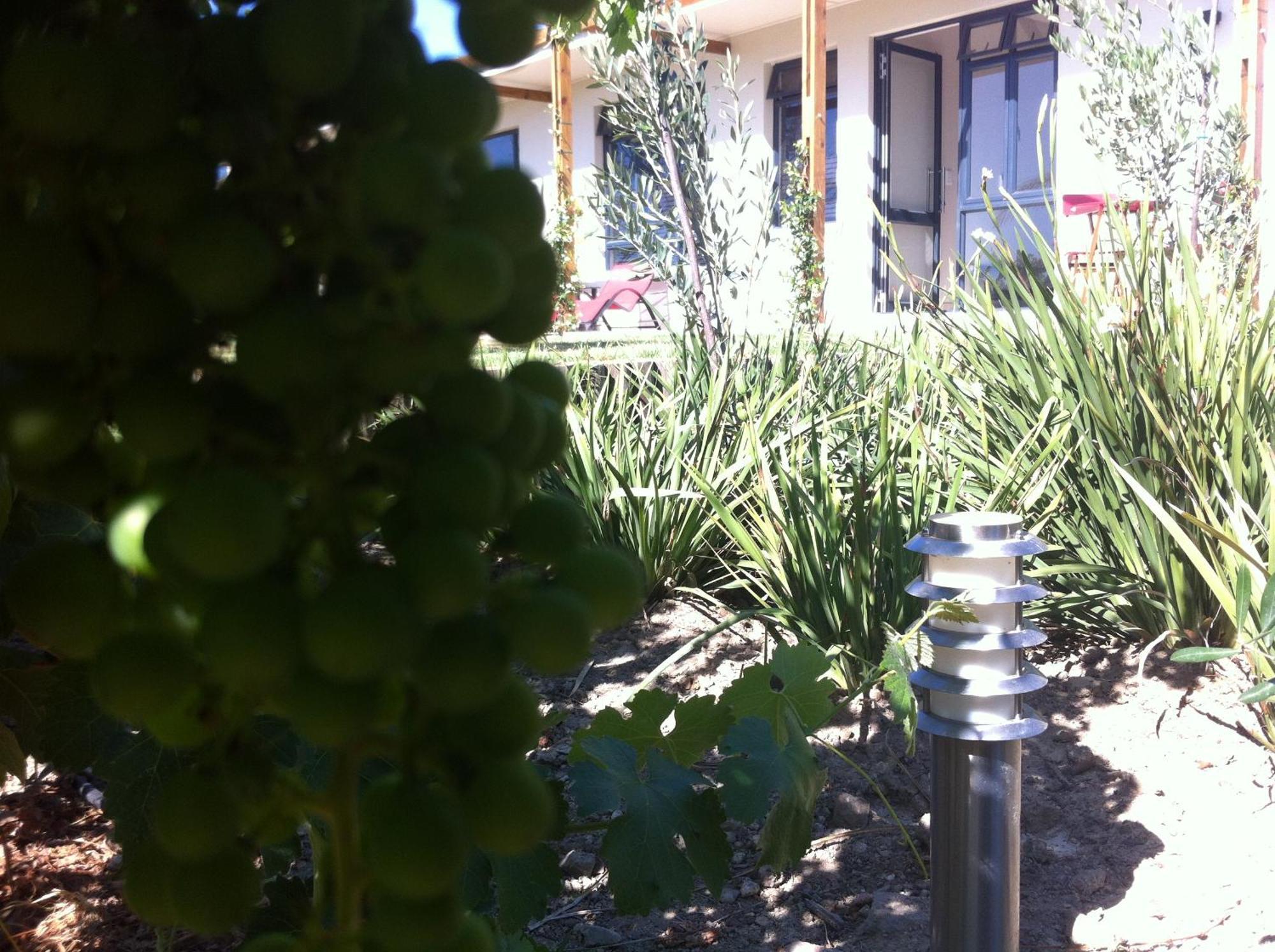 Domaine Coutelier Apartman Stellenbosch Kültér fotó