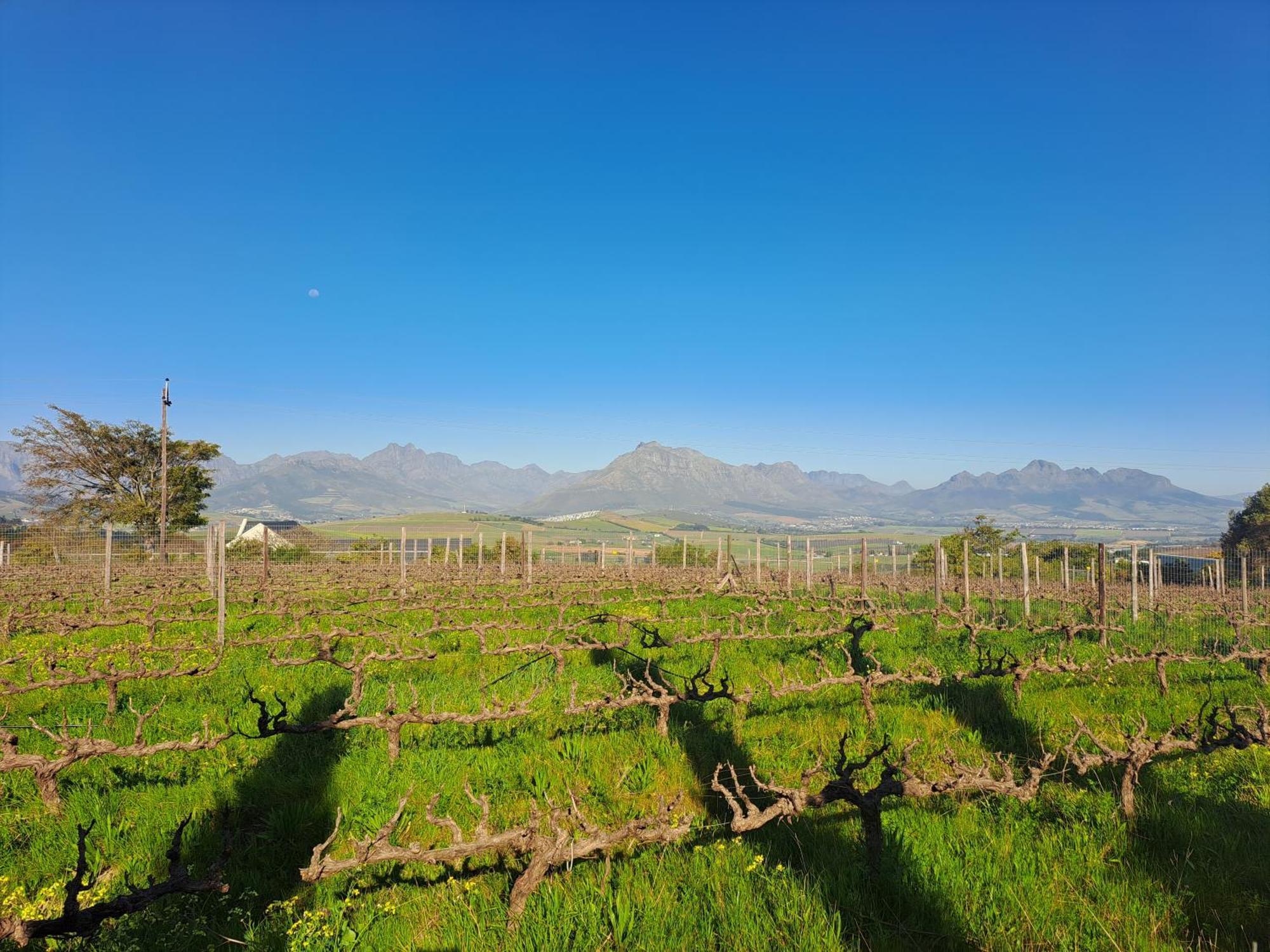 Domaine Coutelier Apartman Stellenbosch Szoba fotó